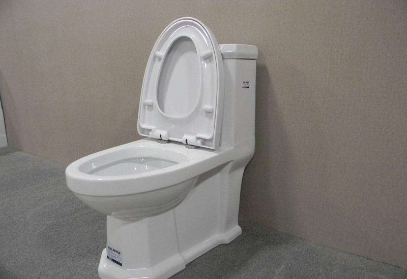 Bedak Apa yang Digunakan untuk Dudukan dan Penutup Toilet?
